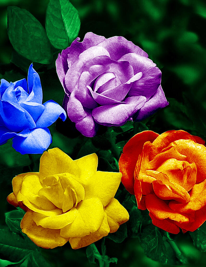 FlowersVA